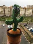 Танцующий кактус
