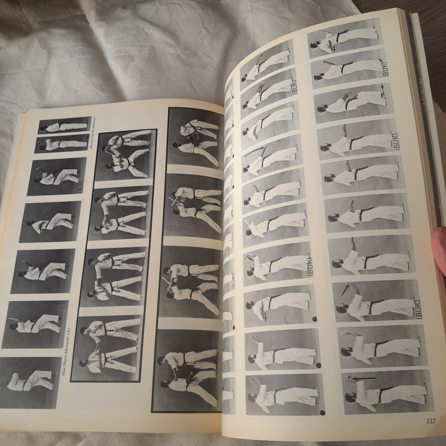 Power Karate. Сила Каратэ. Книга III