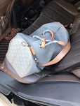 Сумка Louis Vuitton