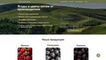 Ягоды оптом от производителя наш сайт - ''Тургеньская ягода''