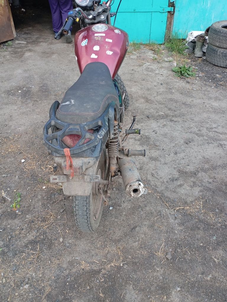 Продам альфу снигрей