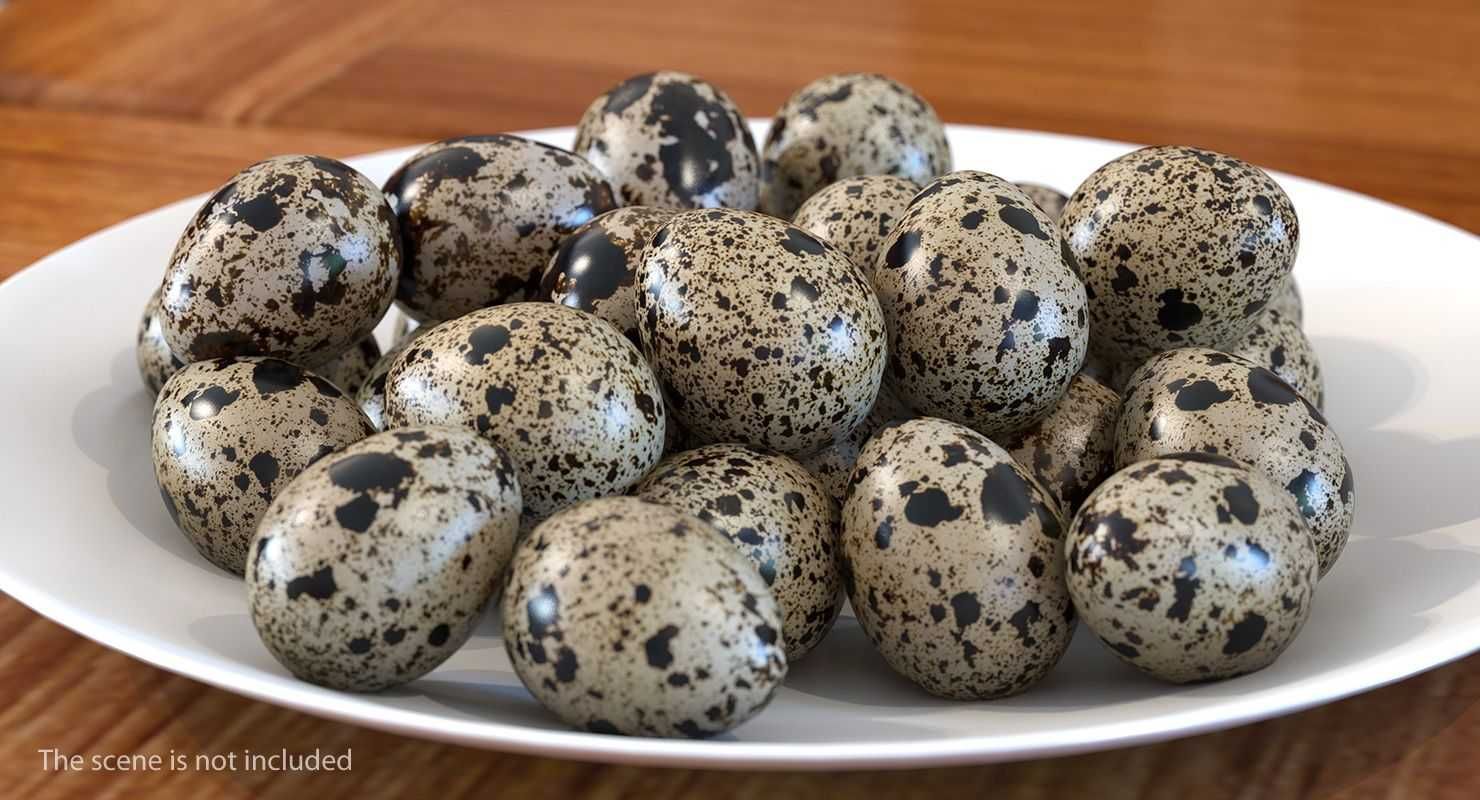 яйцо перепелиное