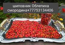 Шиповник Облепиха смородина