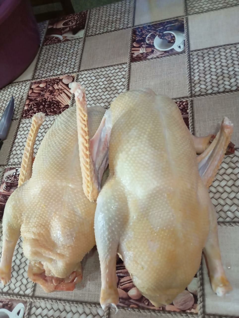 Жирные гуси на согым