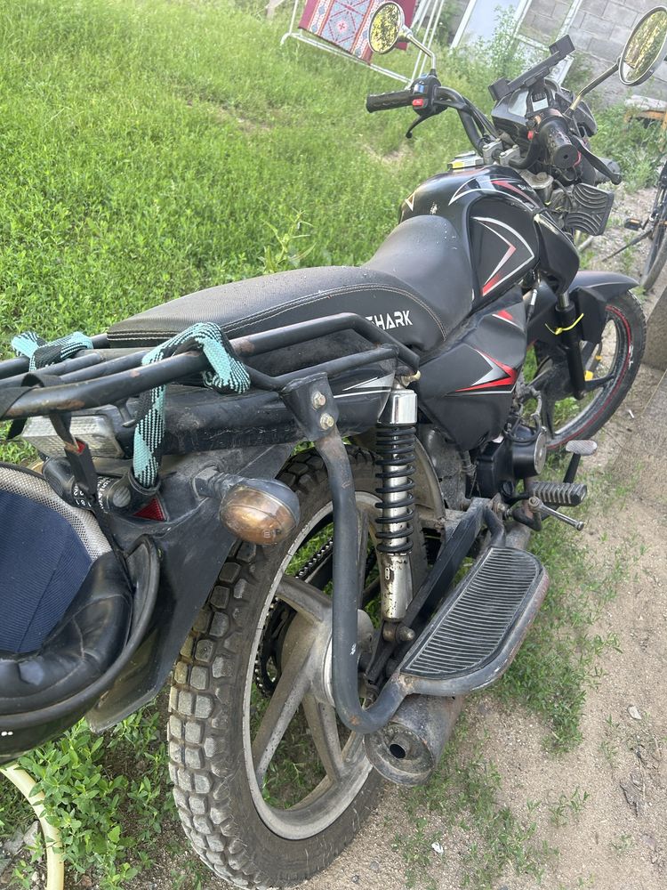 Альфа шарк 125 кубов
