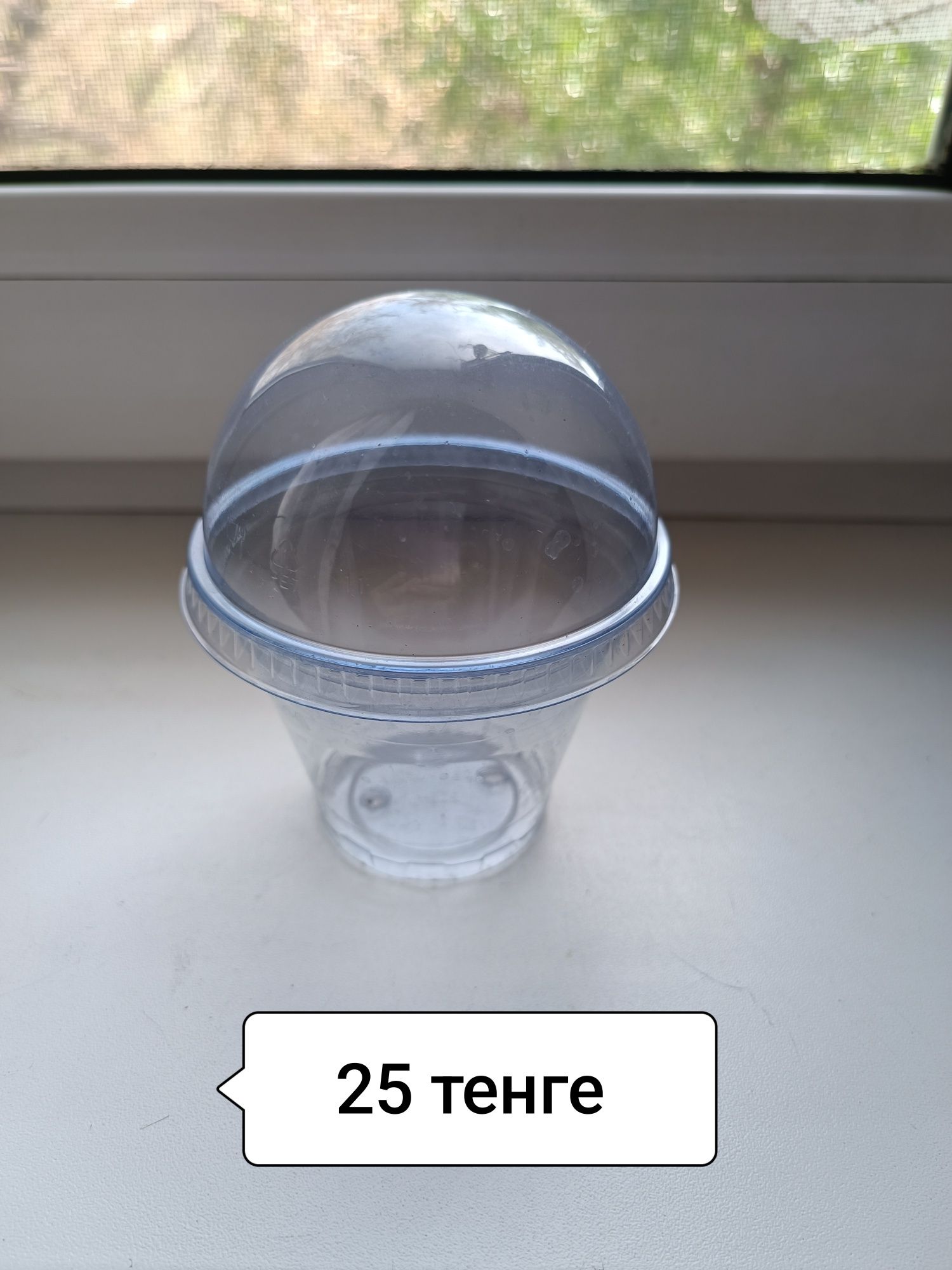 Комнатные цветы.