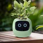 Умный цветочный горшок с автополивом Smart Plant Ivy Plantsio