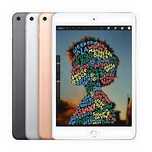Ipad mini 7.9 Silver
