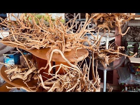 Медузы, Гроты, Коряги в аквариум, в зоомагазине «Живая Природа»
