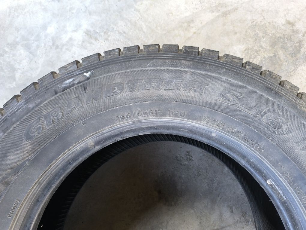 Зимние шины DUNLOP SJ6