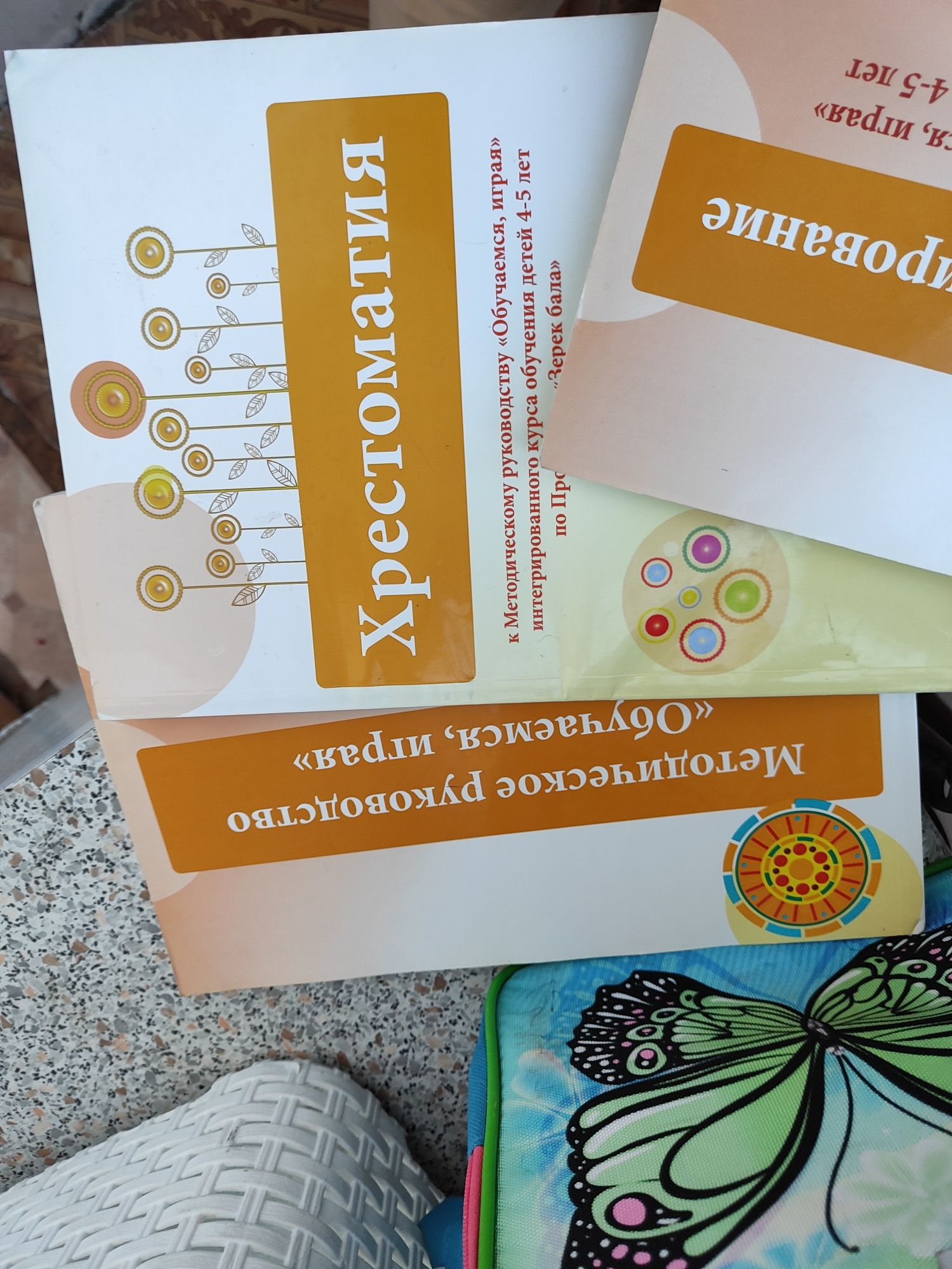 Продам книги программы для дет.сада