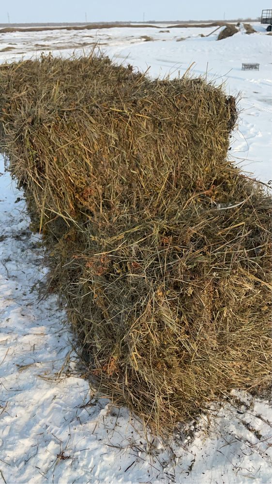 Продам сена в тюк лугавоие