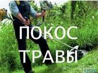 Покос травы триммером