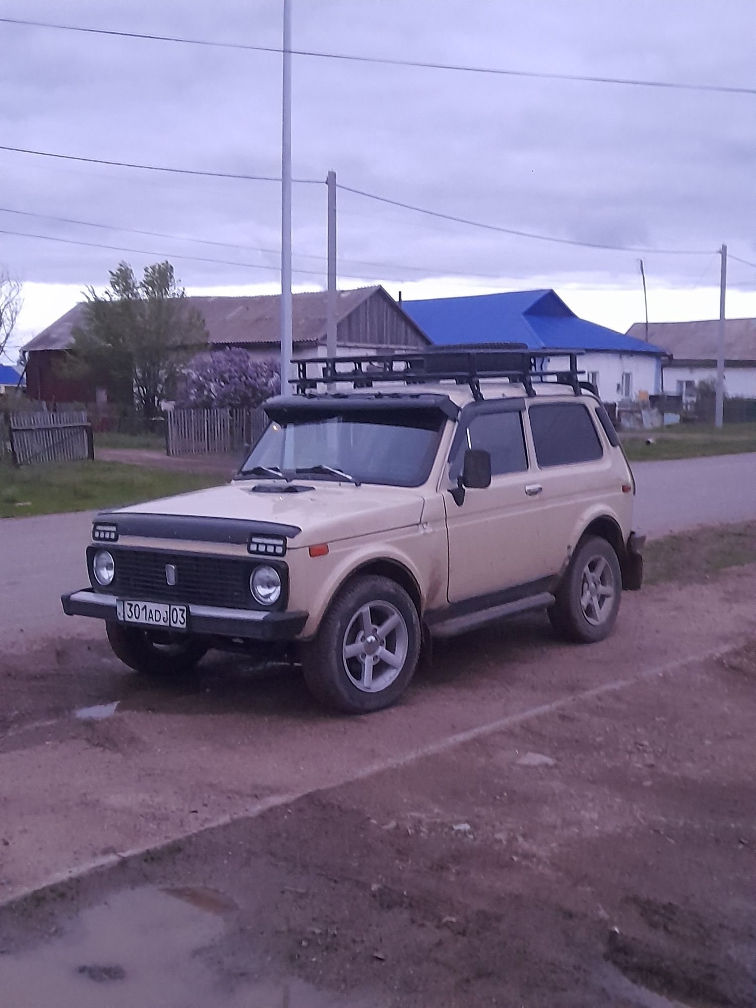 Нива  жагдайы жаксы
