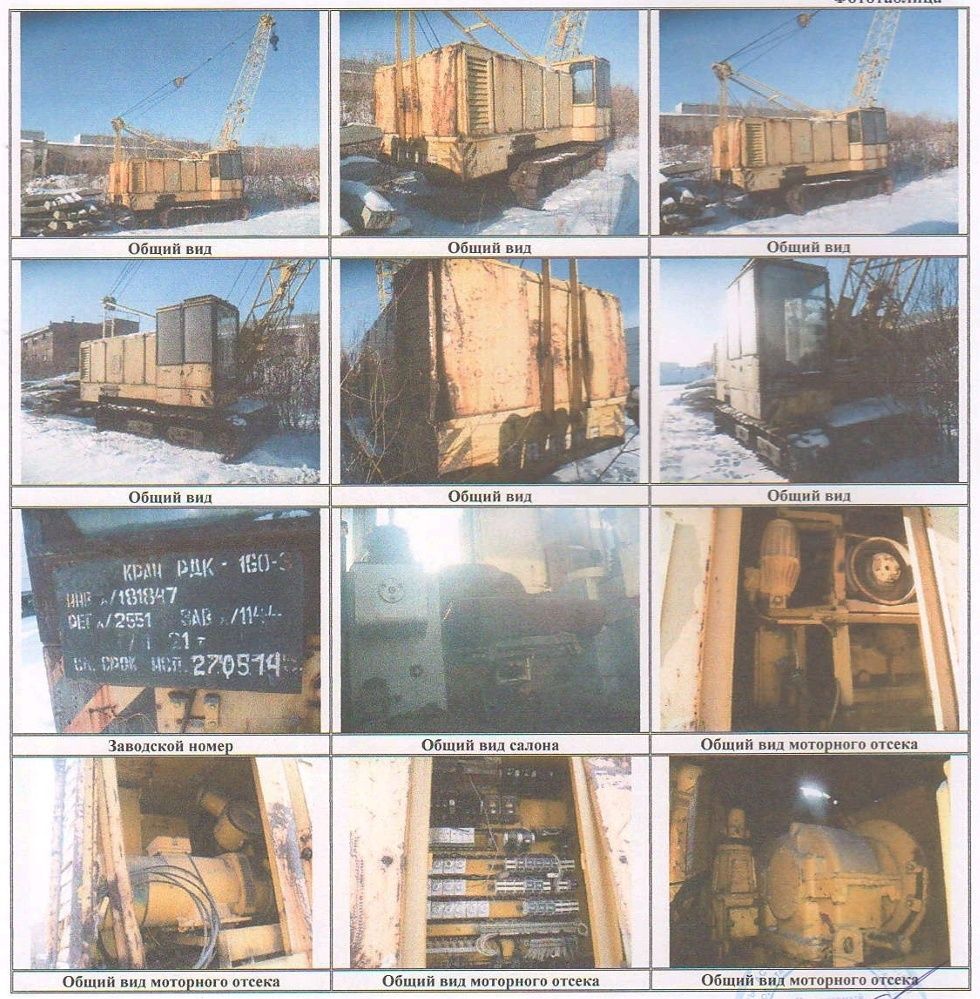 Гусиничный кран  РДК 160-3  22