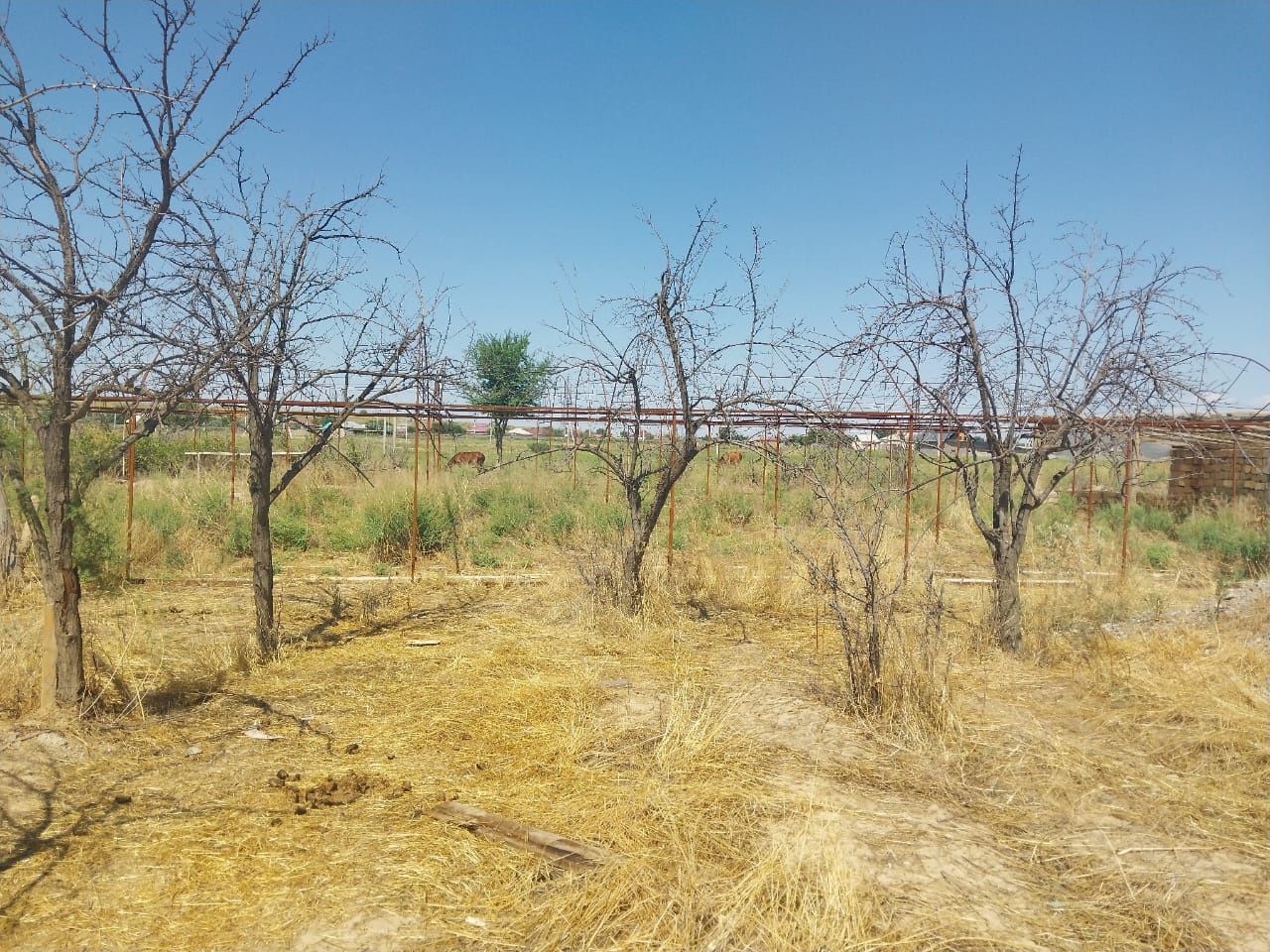 Үй сатылады,Арыс қаласы,бағасы келісімді