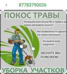 Косим траву цена договорная