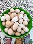 Продаются Яйца домашние, фермерские