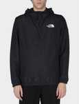 куртка TNF оригинал