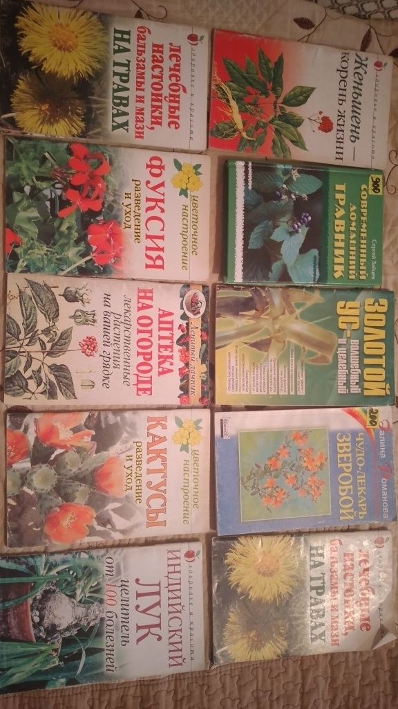 Кактус,фуксия,зверобой,травник