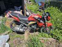 Racer fighter 250