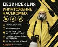 Дизинфекция , дезинсекция от Клопов Тараканов от всех видов насикомых