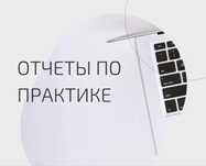 Написание отчетов по практике, курсовая/преддипломная работа