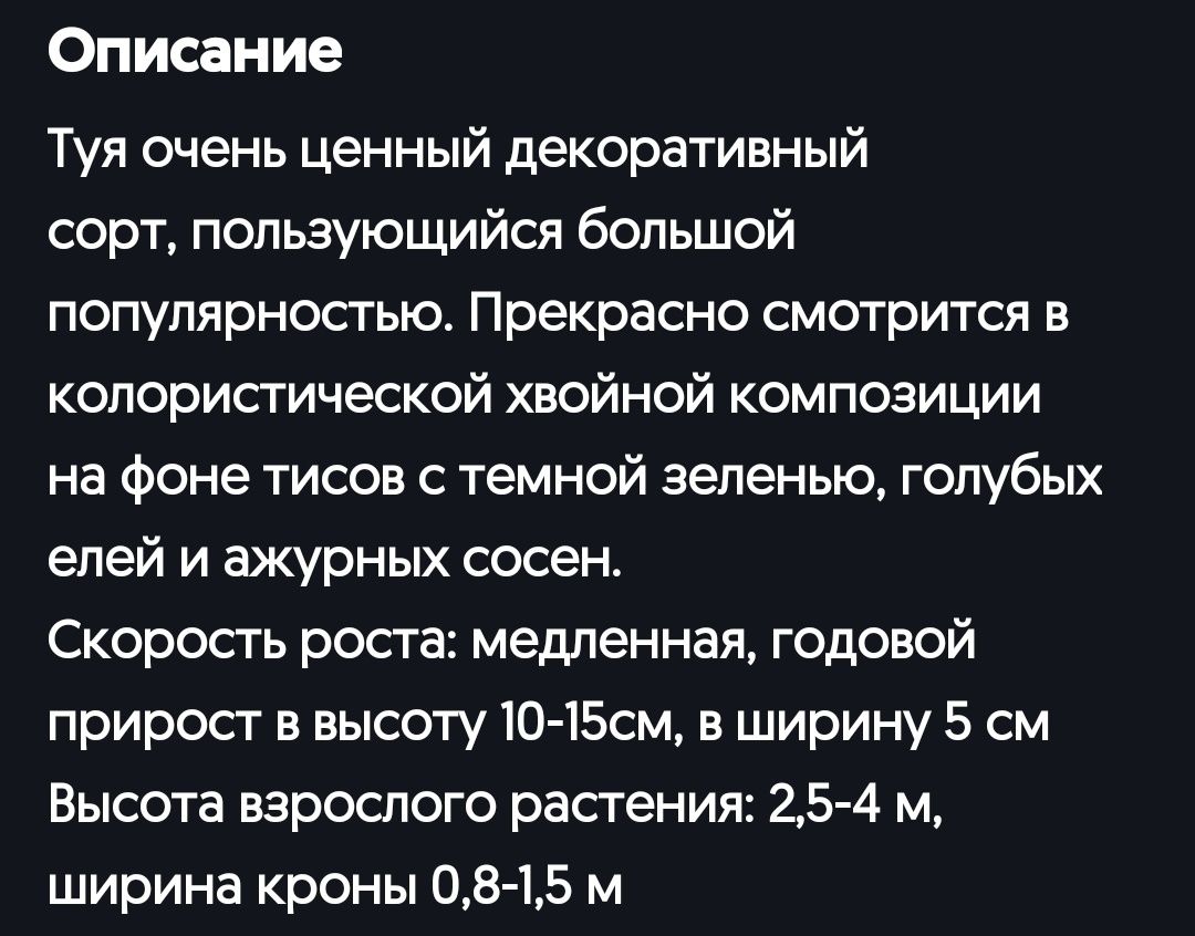 Продам 2 туи 1 метр и 50 см шаровидный