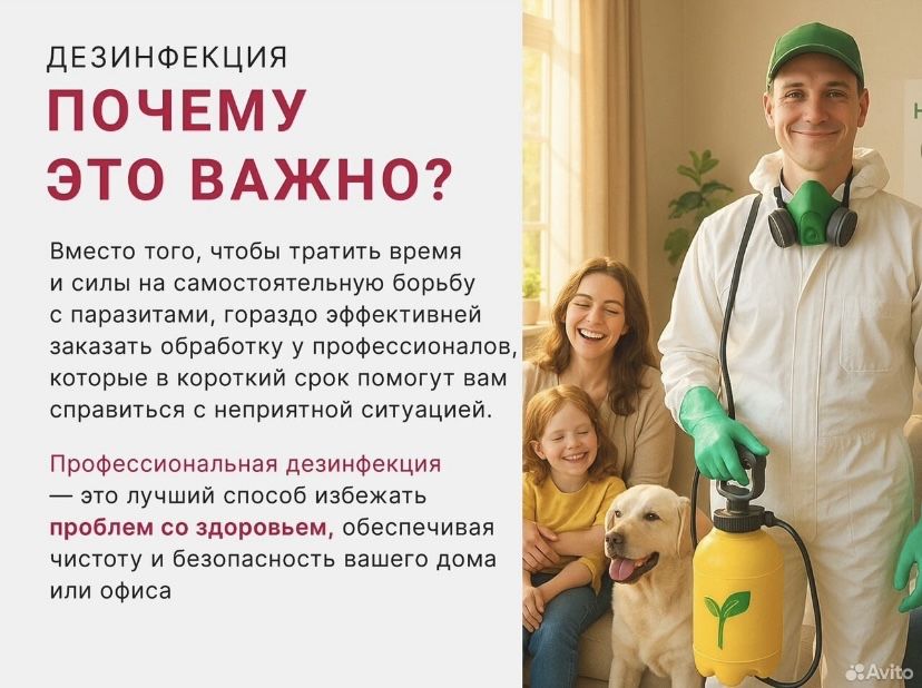 Дезинфекция обработка от тараканов, клещей, клопов, муравьев, блох,