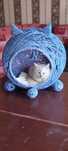 Кокон для котят и кошек