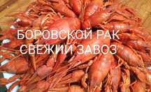 Боровские раки. Живой варёный рак.
