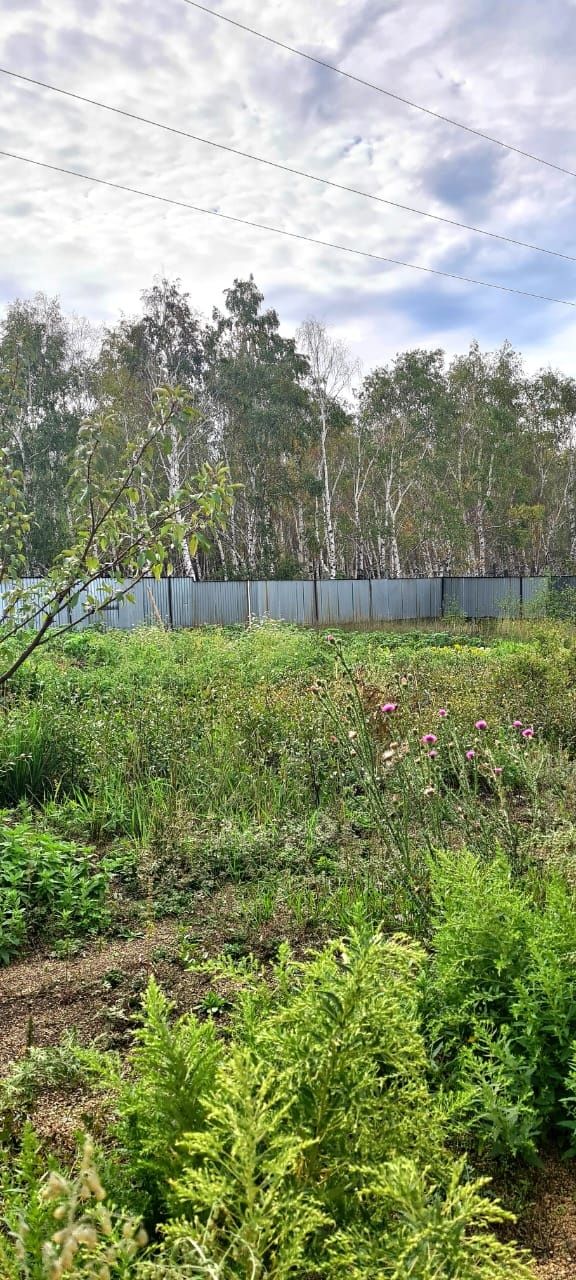 Продам дом с магазином в Боровом