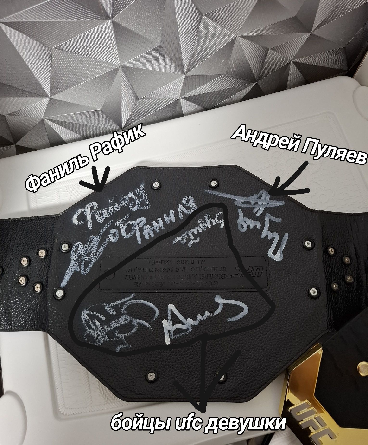 Автографы бойцов ufc на поясе