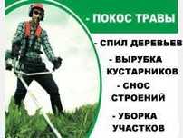 Кронирование спил корчевание кустов деревьев.Распил дров.Вывоз мусора