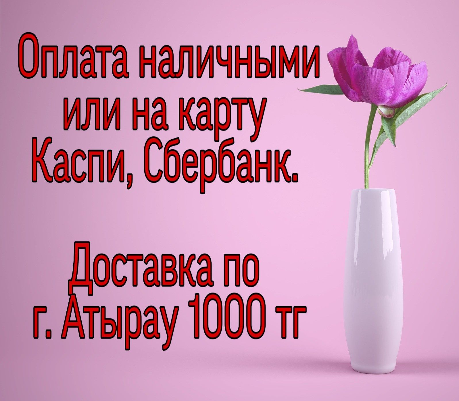 Хлорофитум маленькие и большие