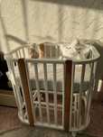 Продам детскую кроватку 3в1