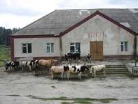 Продам Дом Дарьинск 20 соток земли