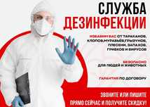 Дезинфекция/ Уничтожение клопов/тараканов/клещей/грызунов Дизенфекция