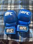Черепашки UFC синего цвета