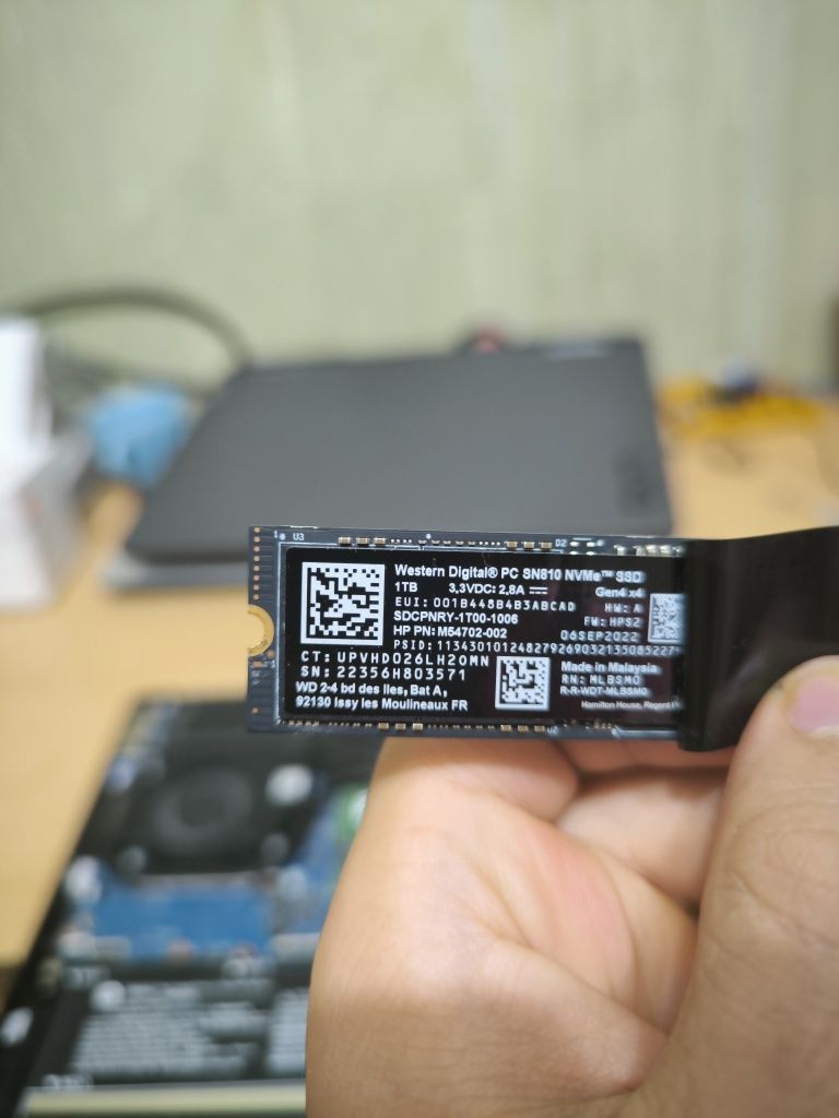 Ssd m2 1TB Western Digital WD