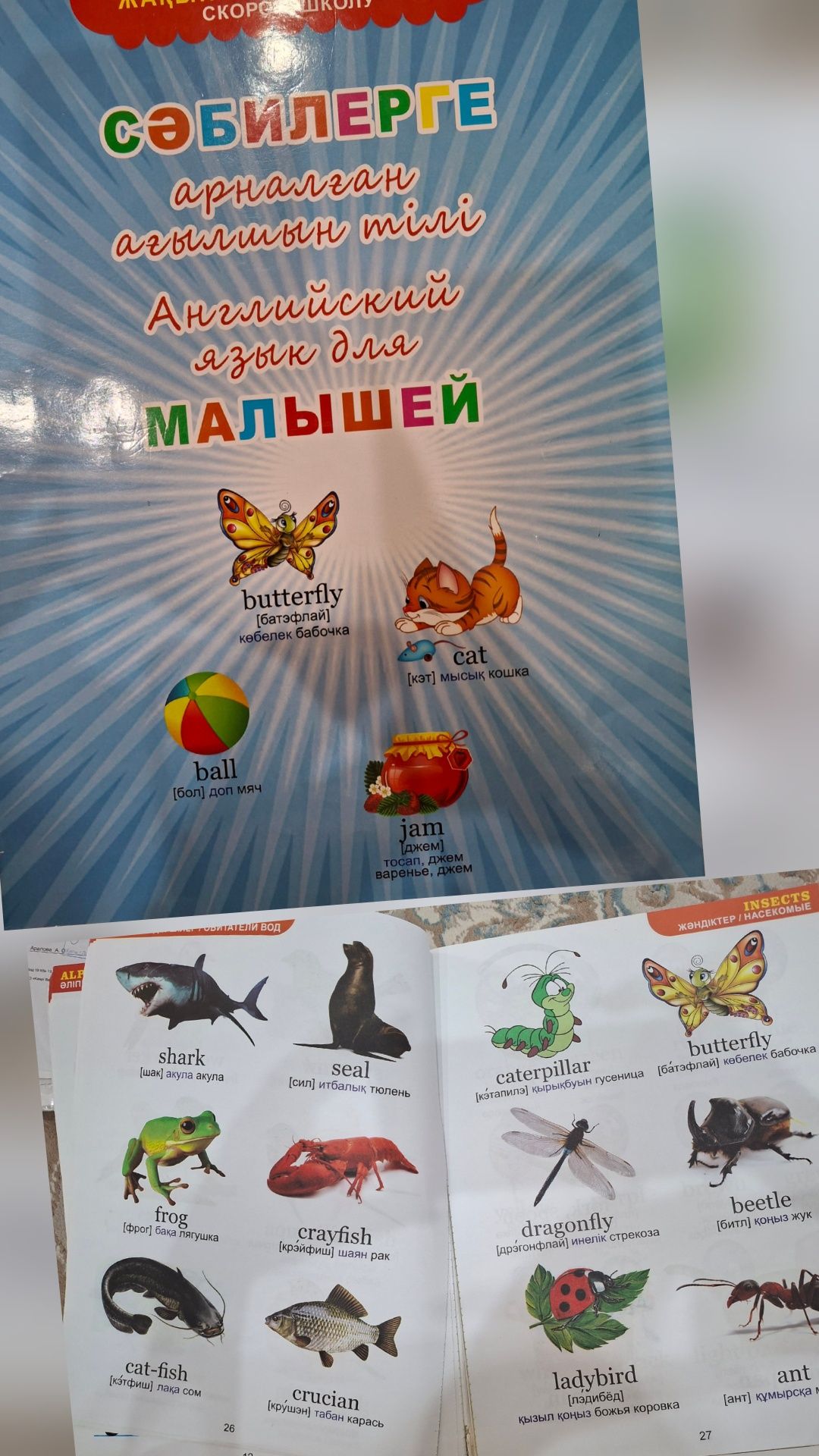 Кітаптар сатылады/Продаются книги
