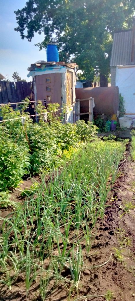 Продам дачу,19 маршрут
