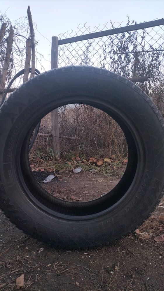 Продам шины зимние