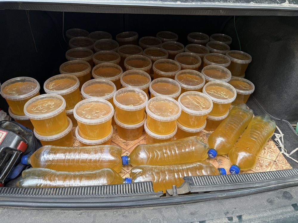 Продам свежий, натуральный мед, недорого