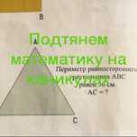 Репетитор по математике за два часа 4600