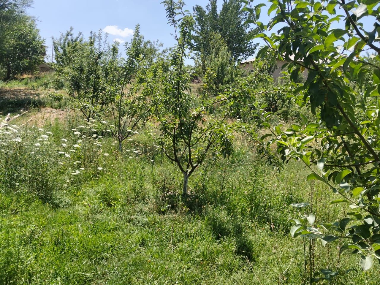 Продается земельный участок 20 соток  в село  карабулаке