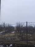 Обрезка деревьев