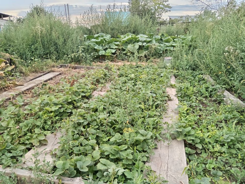 Срочно продам дачу на Бобровке