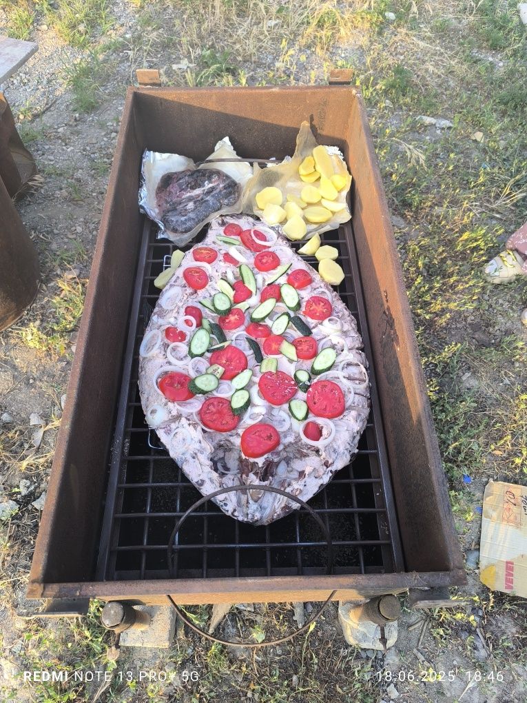 Аренда коктальницы