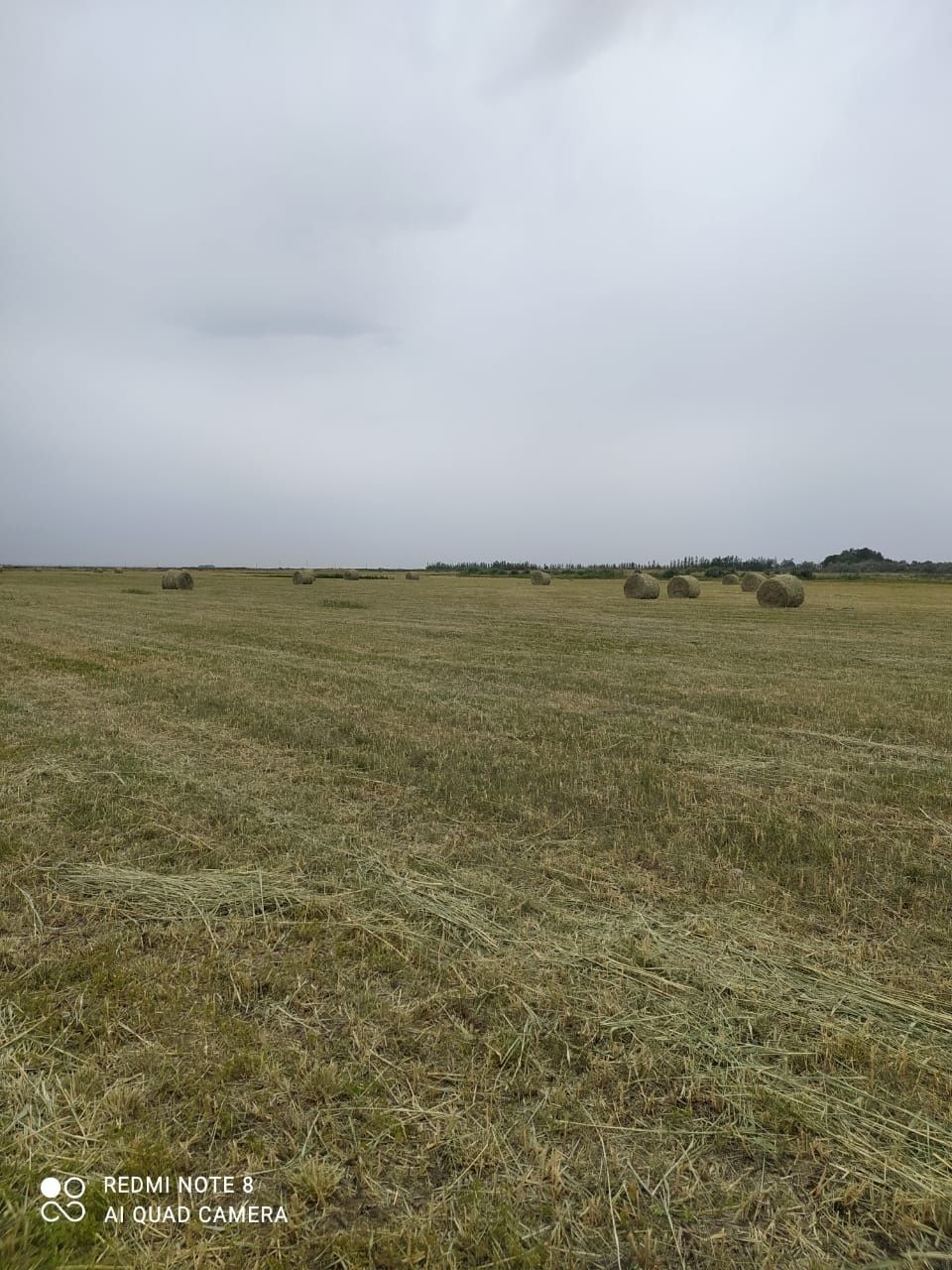 Продам рулонны сена